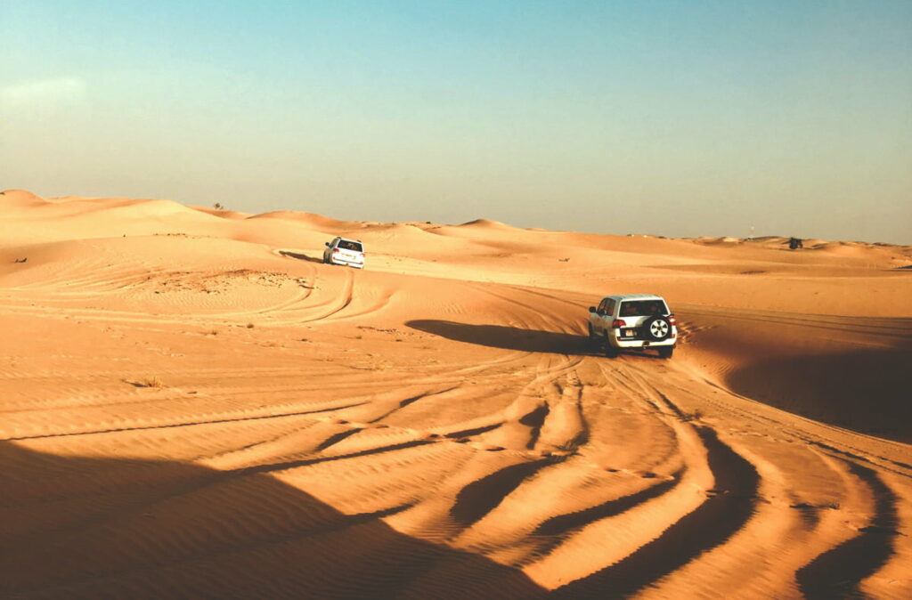 Remote vehicle tracking system in the desert