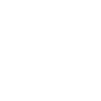 Siguro Group